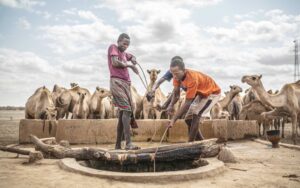 Tener agua es cada vez más difícil para comunidades en África