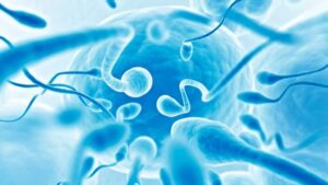Un donante de esperma de EE.UU. y la odisea por encontrar a sus 96 hijos biológicos - AlbertoNews