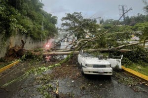 Un fallecido y decenas de árboles caídos dejaron vientos huracanados