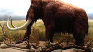 Un proyecto rusoestadounidense pretende revivir a los mamuts para combatir el cambio climático en Siberia