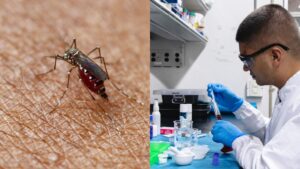 Universidad de Antioquia busca voluntarios para evaluar medicamento contra el dengue - Medellín - Colombia