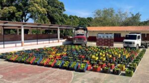 Venezuela incauta 12,6 toneladas de aguacates de red de contrabando con destino a Colombia