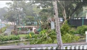El municipio Caripe, al norte del estado Monagas, sigue siendo noticia y esta vez por el tema climático por fuertes ráfagas de vientos.