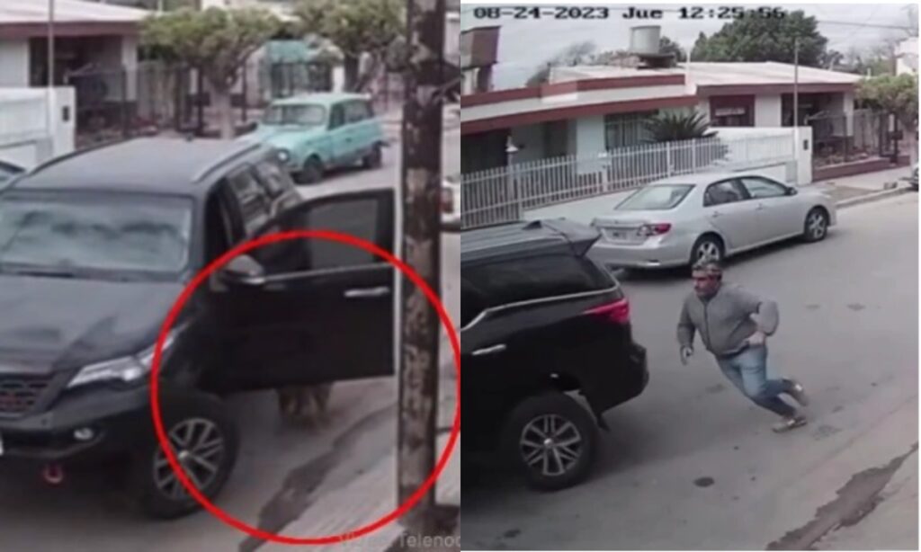Video: perro arrancó un carro y lo estrelló en Argentina - Gente - Cultura