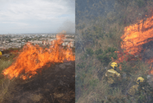 rta por incendio en cerro tutelar de Cali: bomberos luchan contra el voraz fuego - Cali - Colombia