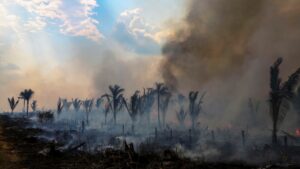 ¿Por qué es tan importante proteger la Amazonía?