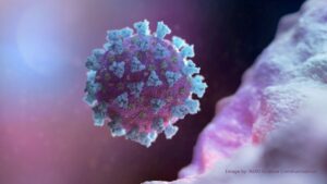 ¿Qué se sabe de las nuevas variantes de coronavirus que están bajo vigilancia en las Américas?
