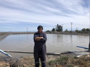 Aguas residuales, exitoso recurso productivo en el seco norte de Chile