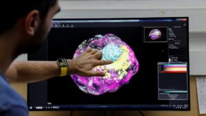 Científicos desarrollan un modelo de embrión humano sin óvulos ni espermatozoides