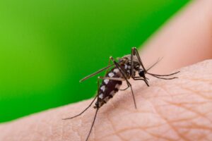 Cuatro parroquias de Caracas lideran casos de dengue
