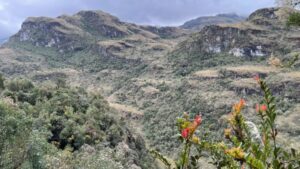 Ecuador incorpora cerca de 25.000 hectáreas de páramo andino a sus zonas protegidas