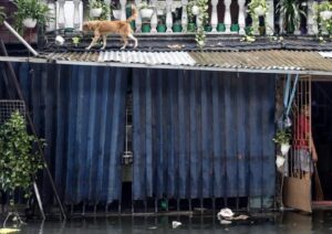 El tifón Saola deja unos siete millones de dólares en daños a la agricultura en Filipinas