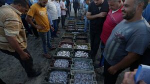 Palestinian fishermen decry Israel's ban on Gaza exports as collective punishment
