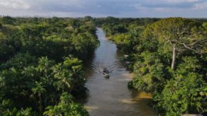La Inteligencia Artificial llega a la Amazonía colombiana para monitorear su biodiversidad