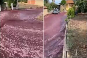 La razón por la que dos millones de litros de vino tinto inundaron las calles de un pequeño pueblo en Portugal (+Video)
