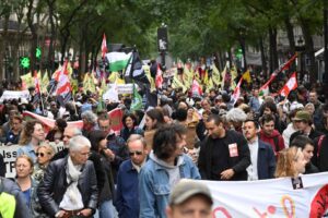 Miles de manifestantes protestan en Francia contra la violencia policial