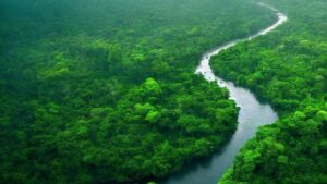 Mueren los 14 brasileños que viajaban en una avioneta tras estrellarse en el Amazonas