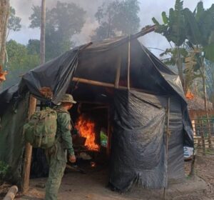 ONG exige "medidas inmediatas" para proteger los DDHH en el conflicto de la Amazonía venezolana