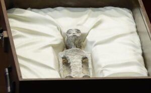 Periodista presentó supuestos cuerpos momificados de “seres no humanos” en el Congreso de México