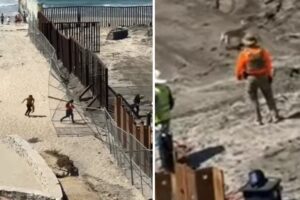 Perrito cruzó desde México a Estados Unidos y agentes de migración estadounidenses supuestamente lo deportaron (+Video)