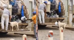 Perro se hizo viral ayudando a recolectores de basura y enterneció las redes