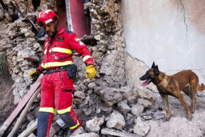 Persa, la perra de rescate ms veterana de la UME desplegada en Marruecos