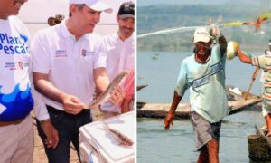 Plan Pescao: apoyo a pescadores artesanales fortalece la economía del Atlántico - Barranquilla - Colombia