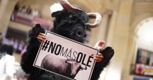 Senado aprobó en segundo debate proyecto que prohíbe las corridas de toros en Colombia
