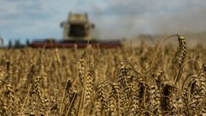 Ucrania se enfrenta a varios países por restricciones contra sus granos