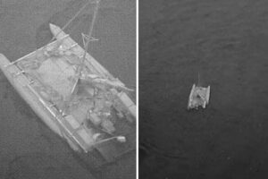 Una manada de tiburones atacó a un pequeño catamarán y sus tres tripulantes quedaron a la deriva (+Video)