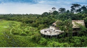 Unesco inscribe sitios naturales de Congo y Martinica como patrimonio de la humanidad