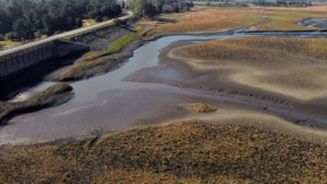 Uruguay inició la semana con alerta naranja y con la reserva de agua dulce a tope