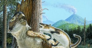 ¿Podían los mamíferos cazar dinosaurios?