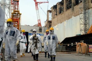 Analizan los peces de Fukushima tras la liberación de agua de la planta nuclear