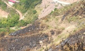 Ante quemas e invasiones, zona rural de Cali se declarará en emergencia - Cali - Colombia