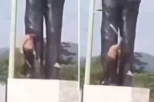 Captan a sujeto atacando con un machete a la estatua de José Gregorio Hernández en Carabobo (+Video)