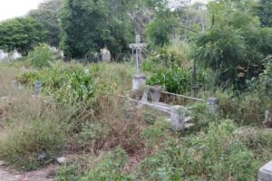 Cementerio de Clarines está en ruinas y arropado por la maleza