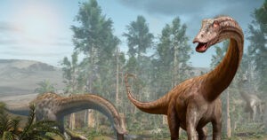 Descubren uno de los dinosaurio de cuello largo más antiguo del mundo