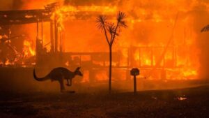 Dos muertos y decenas de casas destruidas a causa de los incendios que arrasan el este de Australia