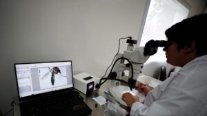 El dengue se propagará en el sur de Europa, EEUU y África esta década, dice científico de la OMS