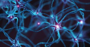 El origen de las neuronas es más antiguo de lo que se creía