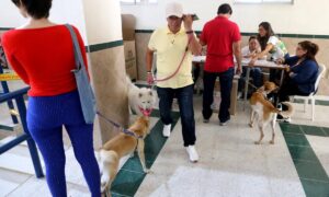 Elecciones Regionales 2023. Bucaramanga