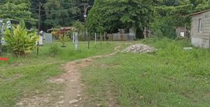 Fallas eléctricas y de aguas residuales afecta a 300 familias en Cojedes