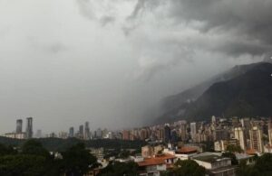 Fuerte aguacero y vientos huracanados dejó árboles caídos en Caracas