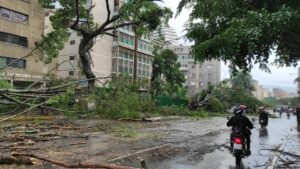 Fuerte lluvia y viento causó caída de árboles en Caracas y Miranda (+videos)