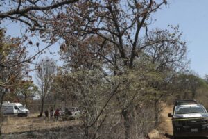 Hallan en México un horno clandestino con presuntos restos humanos