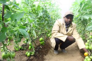 Innovadores servicios financieros transforman el emprendimiento agrícola en África