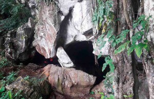 La Cueva Ña Plácida te muestra el mundo subterráneo