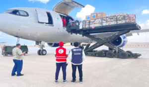 Llega a Egipto un avión con suministros médicos de la OMS para población de Gaza