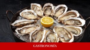 Llega a Madrid el bar especializado en ostras más famoso de Bilbao donde disfrutar del sabor del mar desde 2 euros